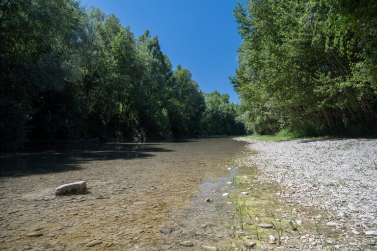 DSC00806 Mare di Mergo 09