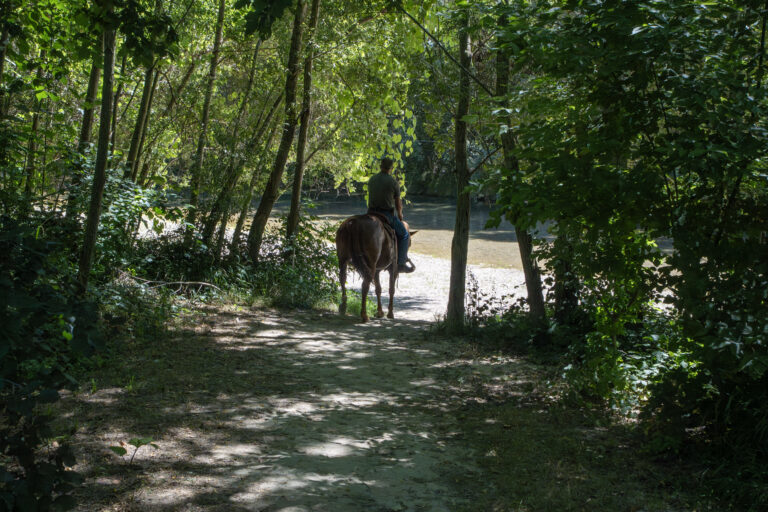 DSC00815 Mare di Mergo 06